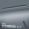 Paul Neuhaus Lampor PURE-LINES Taklampa LED Antracit, 1-ljuskällor, Fjärrkontroll