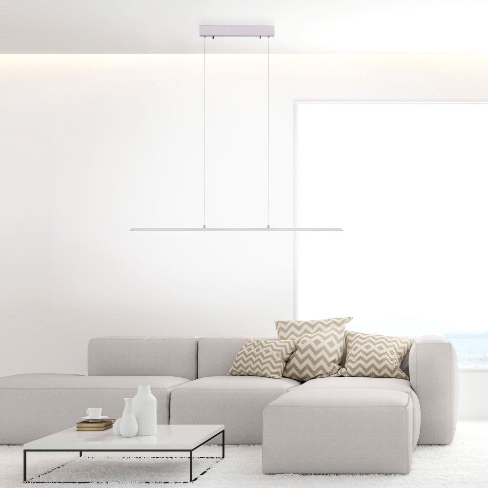Paul Neuhaus Lampor PURE-LITE Pendelbelysning LED Rostfritt stål, 1-ljuskällor main product photo