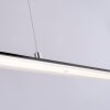 Paul Neuhaus Lampor PURE-LITE Pendelbelysning LED Antracit, 1-ljuskällor