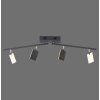 Paul Neuhaus Lampor PURE-MIRA Taklampa LED Svart, 4-ljuskällor, Fjärrkontroll
