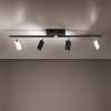 Paul Neuhaus Lampor PURE-MIRA Taklampa LED Svart, 4-ljuskällor, Fjärrkontroll