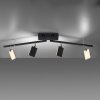 Paul Neuhaus Lampor PURE-MIRA Taklampa LED Svart, 4-ljuskällor, Fjärrkontroll