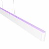 Philips Lampor Ensis Pendelbelysning LED Vit, 2-ljuskällor, Färgväxlare