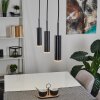 Dalheim Pendelbelysning LED Svart, 3-ljuskällor