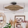 Shelbourne Taklampa Svart, 1-ljuskällor