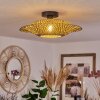 Shelbourne Taklampa Svart, 1-ljuskällor