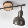 Leuchten Direkt SWAMP Taklampa, Takstrålkastare, Vägglampa, Väggspotlight Naturfärger, 2-ljuskällor