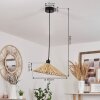 Callide Pendellampa Svart, 1-ljuskällor