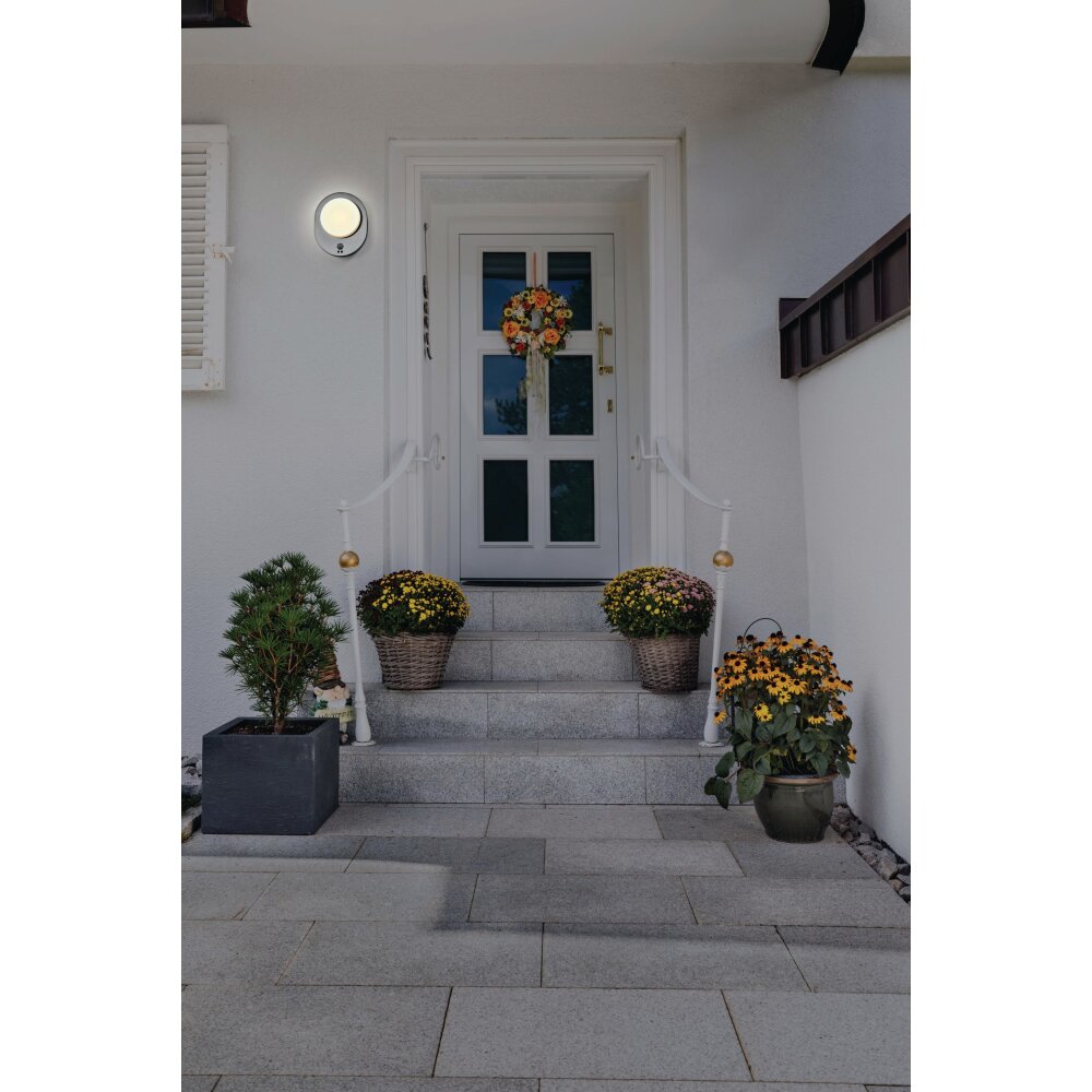 Ledvance ENDURA vägglampa utomhus LED Stål borstat, 1-ljuskällor, Rörelsedetektor main product photo