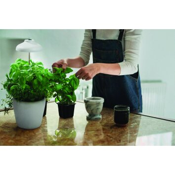 Ledvance Garden Spotlight trädgård, Blomkruka LED Vit, 1-ljuskällor