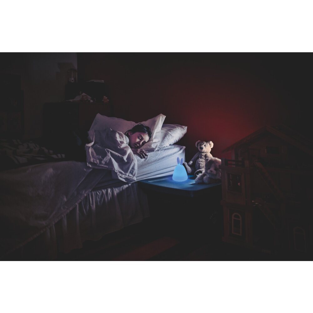 Ledvance NIGHTLUX Utomhuslampa med uttag LED Vit, 1-ljuskällor, Färgväxlare main product photo