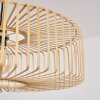 Callide Pendellampa Svart, 1-ljuskällor