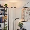 Confluencia strålkastare, Golvlampa LED Svart, 2-ljuskällor