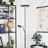 Confluencia strålkastare, Golvlampa LED Svart, 2-ljuskällor