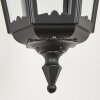 Pamputa vägglampa utomhus Svart, 1-ljuskällor