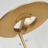 Confluencia strålkastare, Golvlampa LED Mässing, 2-ljuskällor