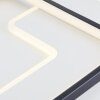 Brilliant Barden Taklampa LED Svart, Vit, 1-ljuskällor, Fjärrkontroll