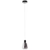 Brilliant Carlson Pendellampa LED Svart, 1-ljuskällor