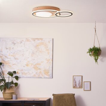 Brilliant Lampor Karney Taklampa LED Brun, Svart, 1-ljuskällor