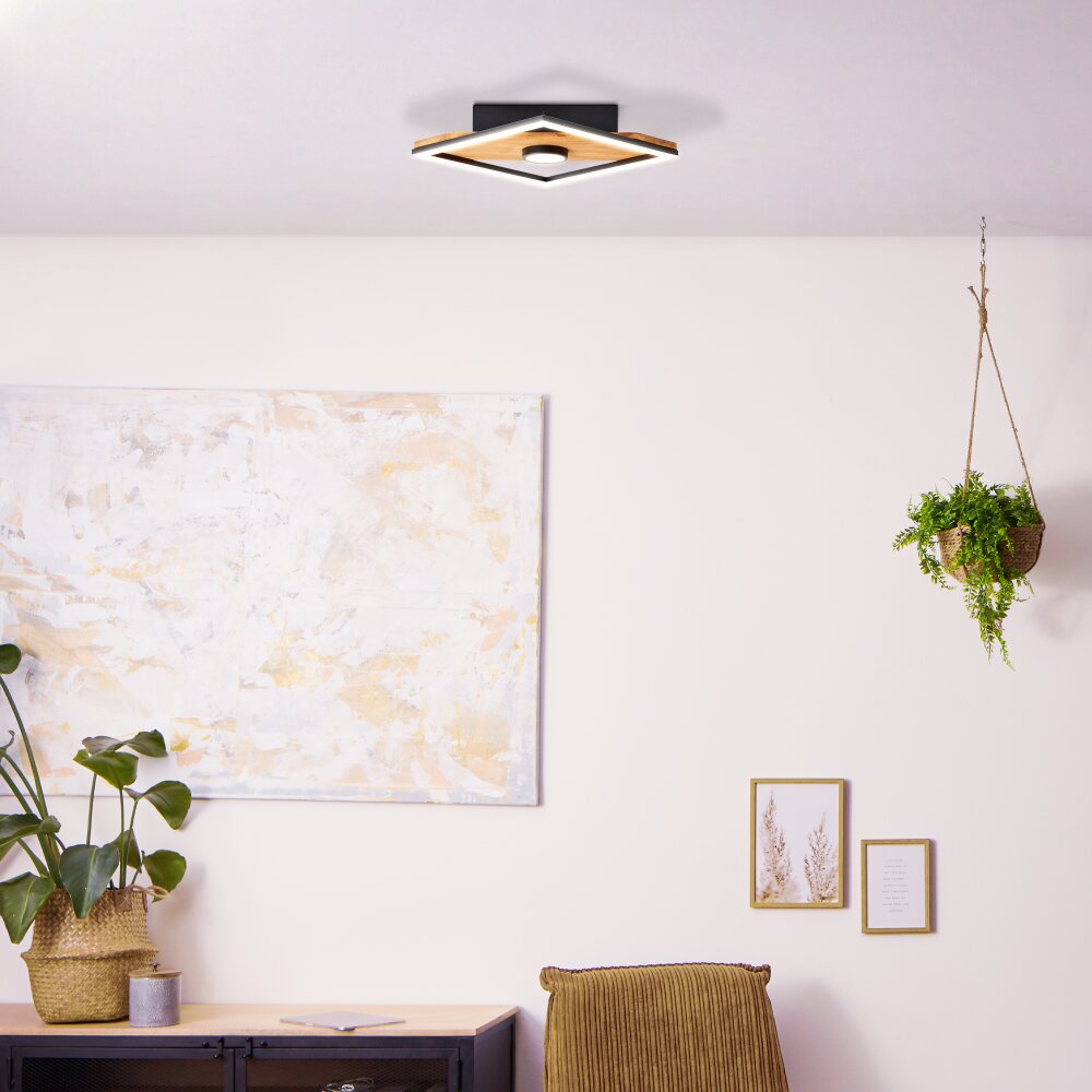 Brilliant Lampor Woodbridge Taklampa LED Brun, Svart, 1-ljuskällor main product photo