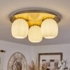 Pintacura Taklampa Mässing, 3-ljuskällor