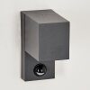 Kingstown vägglampa utomhus, Vägglampa Antracit, Genomskinlig, klar, 1-ljuskällor, Rörelsedetektor Kingstown vägglampa utomhus, Vägglampa Antracit, Genomskinlig, klar, 1-ljuskällor, Rörelsedetektor
