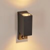 Kingstown vägglampa utomhus, Vägglampa Antracit, Genomskinlig, klar, 2-ljuskällor, Rörelsedetektor