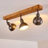 Tholen Taklampa, Takstrålkastare Brun, 3-ljuskällor