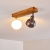 Tholen Taklampa, Takstrålkastare Brun, 2-ljuskällor