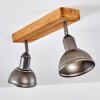 Tholen Taklampa, Takstrålkastare Brun, 2-ljuskällor