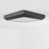 Alkmaar Taklampa, Vägglampa LED Antracit, 1-ljuskällor