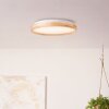 Brilliant Lampor Alson Taklampa LED Vit, 1-ljuskällor