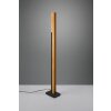 Trio Lampor Kerala Golvlampa LED Svart, 1-ljuskällor