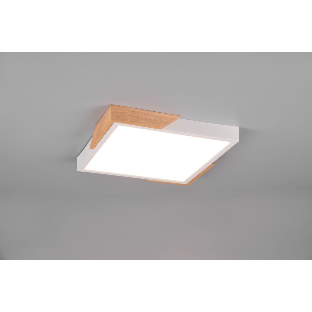 Reality Meta Taklampa LED Vit, 1-ljuskällor main product photo