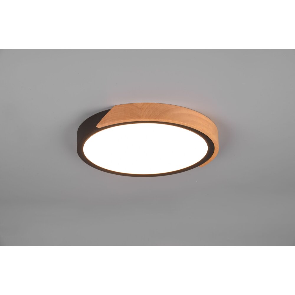 Reality Jano Taklampa LED Svart, 1-ljuskällor main product photo