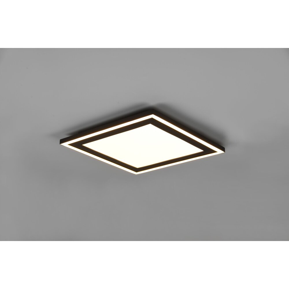 Reality Carus Taklampa LED Svart, 1-ljuskällor main product photo