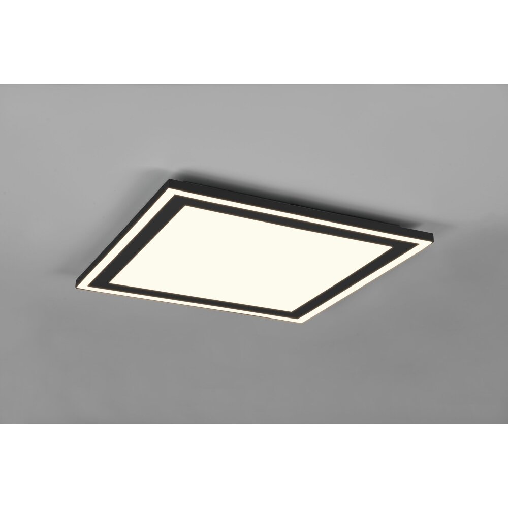 Reality Carus Taklampa LED Svart, 1-ljuskällor main product photo