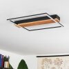 Courceaux Taklampa LED Naturfärger, Svart, 1-ljuskällor