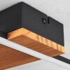 Courceaux Taklampa LED Naturfärger, Svart, 1-ljuskällor