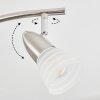 Chapod Taklampa, Takstrålkastare LED Krom, Nickel matt, 6-ljuskällor
