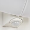 Carnetin vägglampa utomhus, Vägglampa LED Vit, 2-ljuskällor