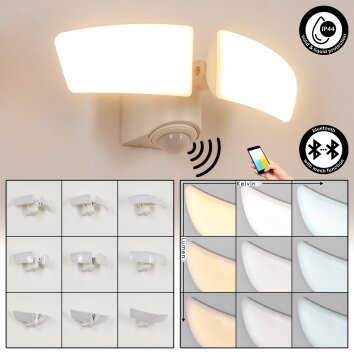 Carnetin vägglampa utomhus, Vägglampa LED Vit, 2-ljuskällor, Rörelsedetektor
