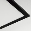 Wilderswil  Taklampa, Panel LED Vit, 1-ljuskällor