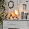 Puelches Bordslampa Nickel matt, 1-ljuskällor