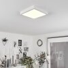 Finsrud Taklampa, Panel LED Vit, 1-ljuskällor