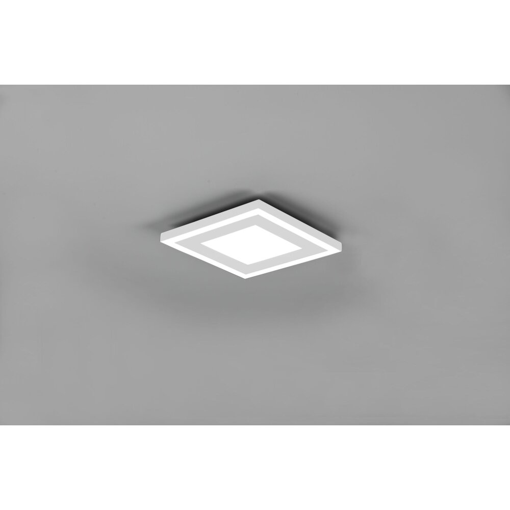 Reality Carus Taklampa LED Vit, 2-ljuskällor main product photo