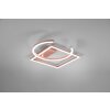 Reality Pivot Taklampa LED Roséguld, 1-ljuskällor