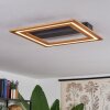 Charentay Taklampa LED Svart, 1-ljuskällor
