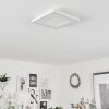 Audrieu Taklampa LED Vit, 2-ljuskällor