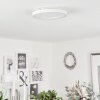 Audrieu Taklampa LED Vit, 2-ljuskällor
